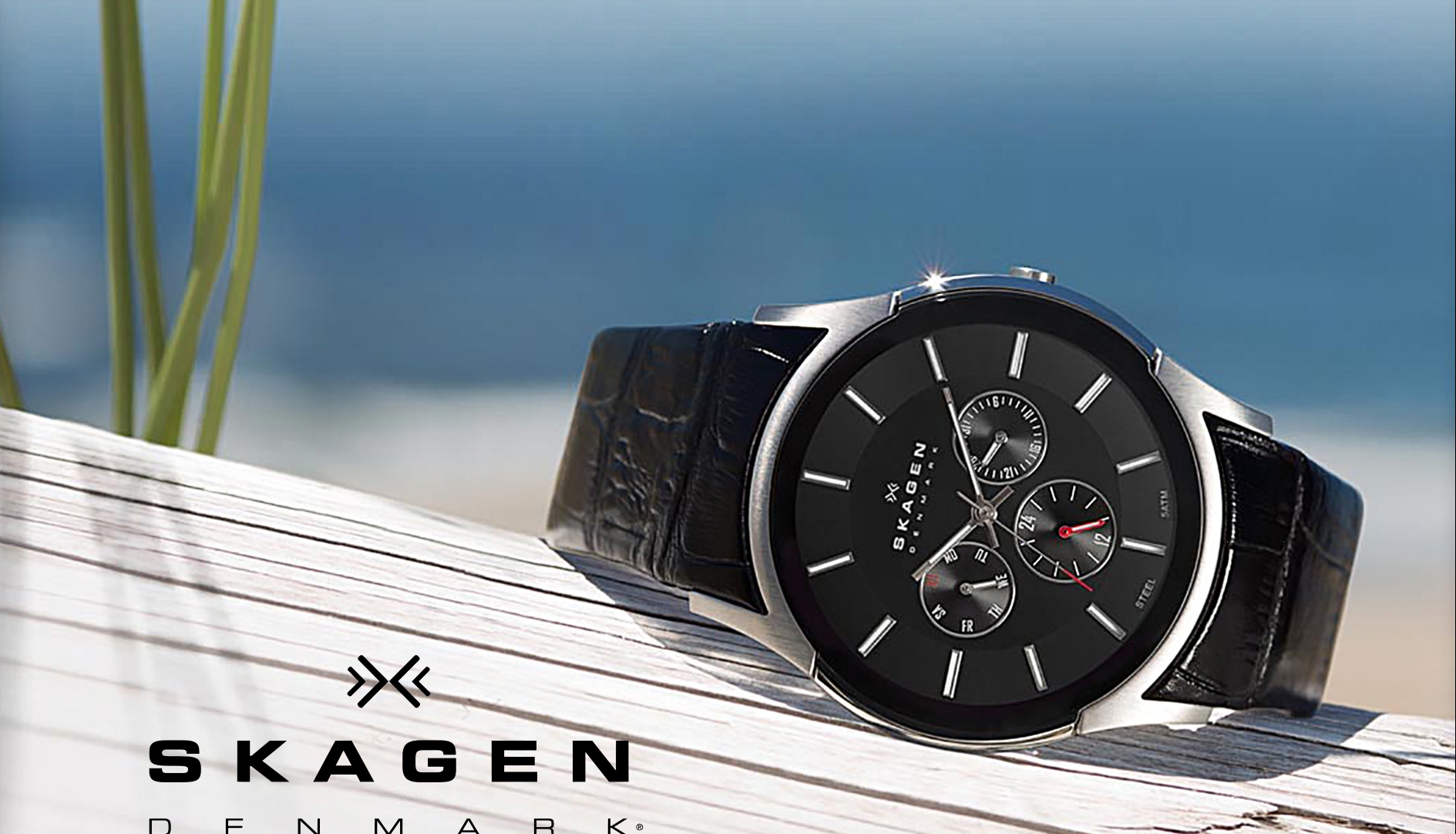 Часы Skagen
