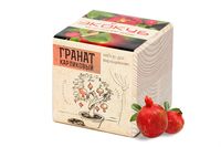 Набор для выращивания «Экокуб», гранат