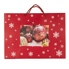 Пакет малый  RED WONDER 32*27*11 см, красный